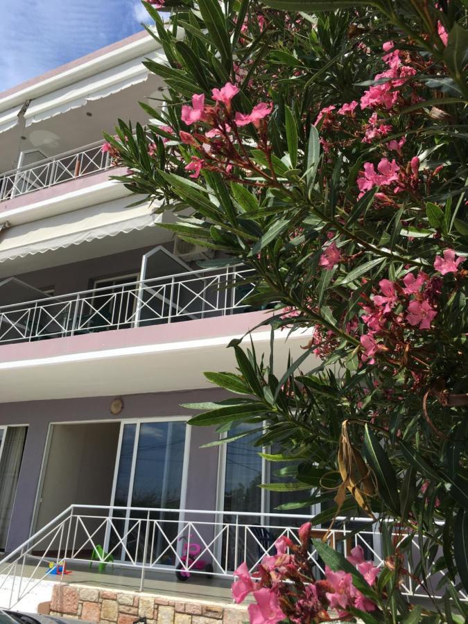 Irini Boutique Rooms!!! 히마레 외부 사진